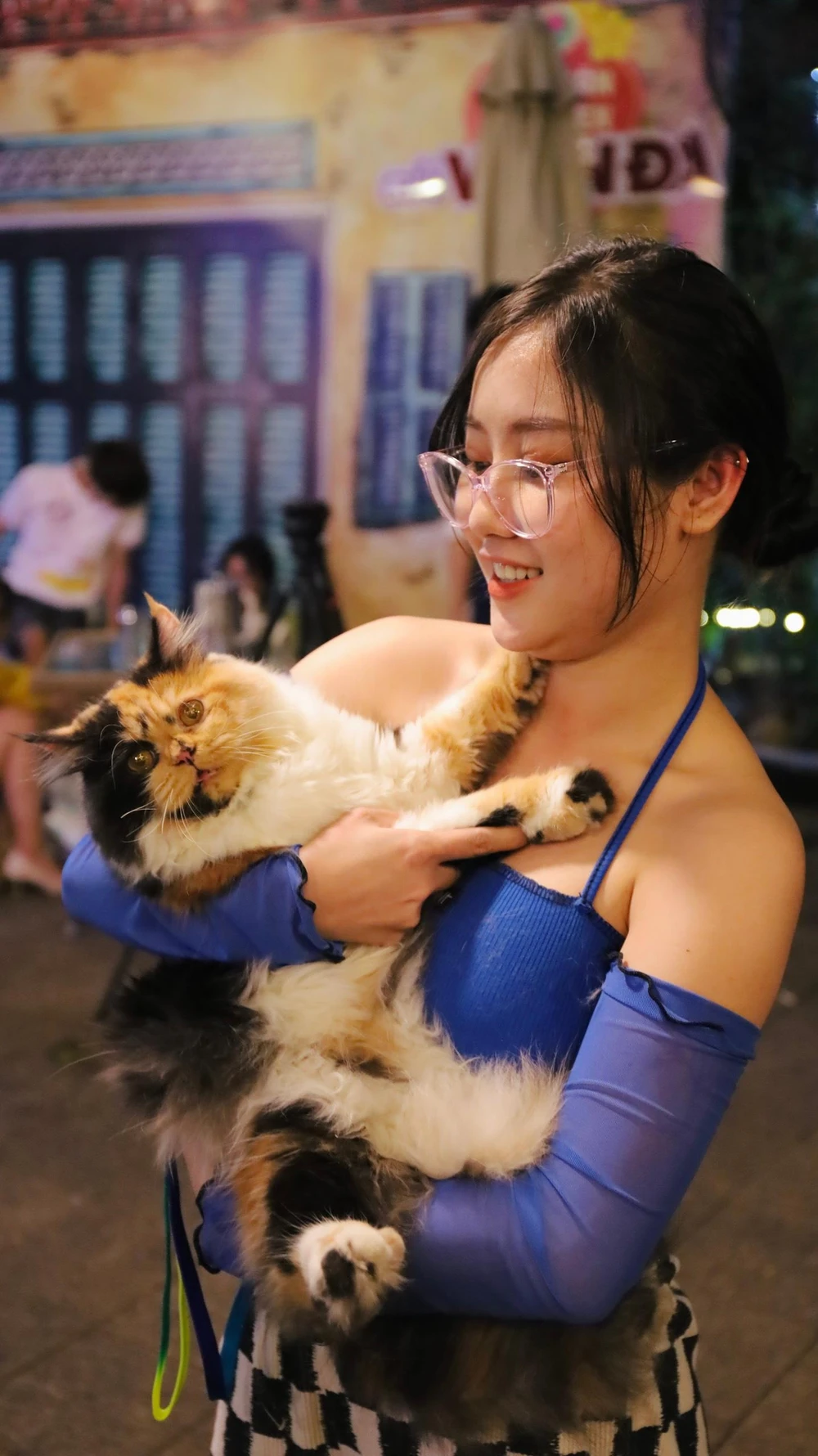 Bạn Lê Thị Diệu Hoa, ngụ Quận Tân Phú, TP.HCM mang chú mèo Anh lông dài của mình đến vui chơi các các chú mèo khác.