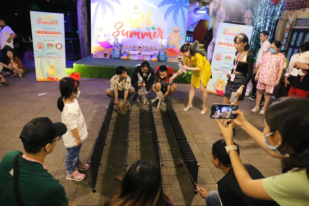 Sự kiện diễn ra trong vòng 3 tiếng đồng hồ. Ngoài hoạt động chụp hình kỷ niệm, chương trình còn có nhiều trò chơi tạo không khí sôi động như mèo nhảy theo nhạc, mèo chạy đua, đố vui có thưởng.