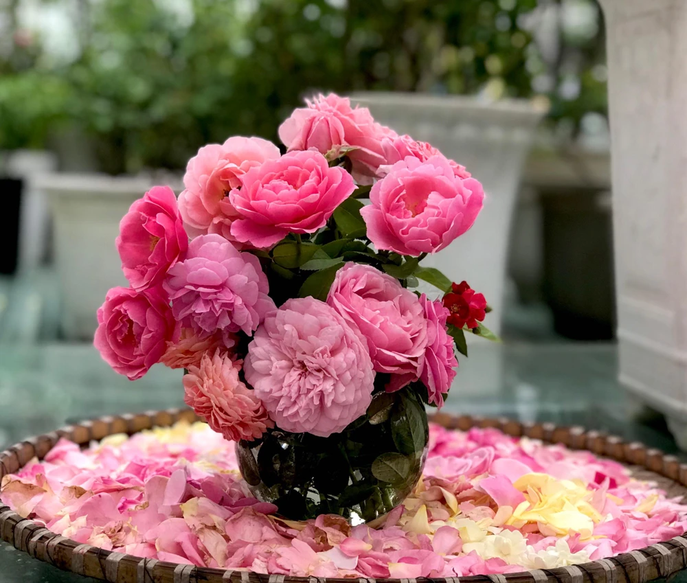 Vợ ông tận dụng hoa để trang trí, chế biến thành trà, mặt nạ, làm tinh dầu.