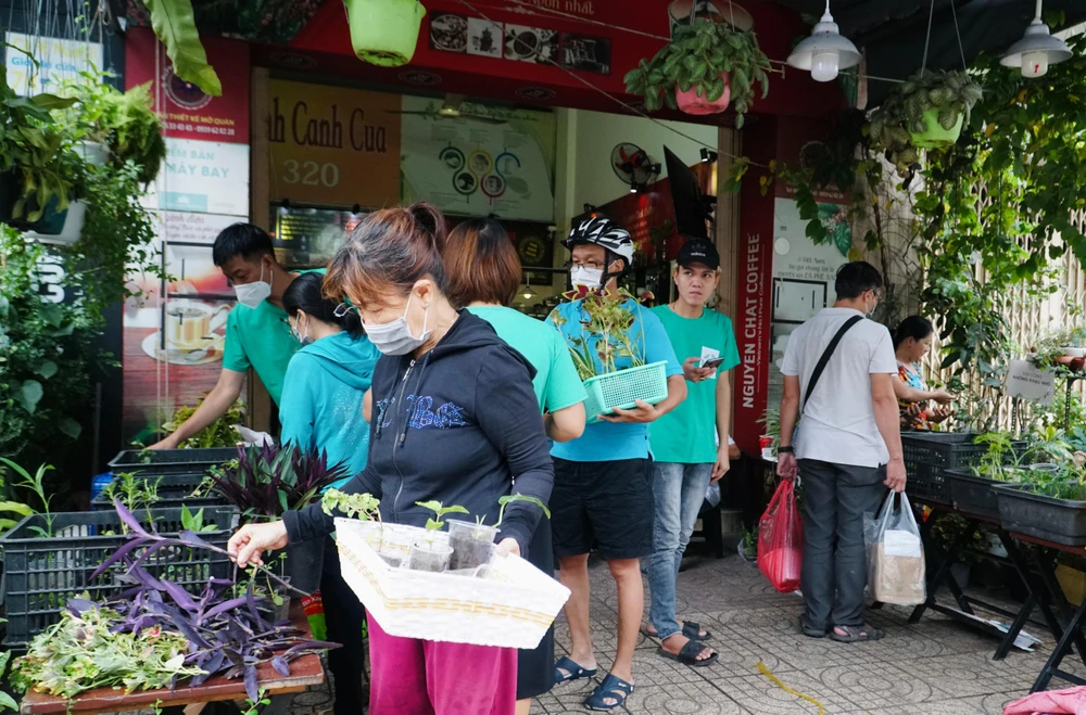 Cứ sáng chủ nhật đầu tháng, tại chung cư 109, đường Nguyễn Biểu, Quận 5, TP.HCM lại rôm rả tiếng cười nói của những người ghé đến mua sắm tại chợ cây giống 1.000 đồng.