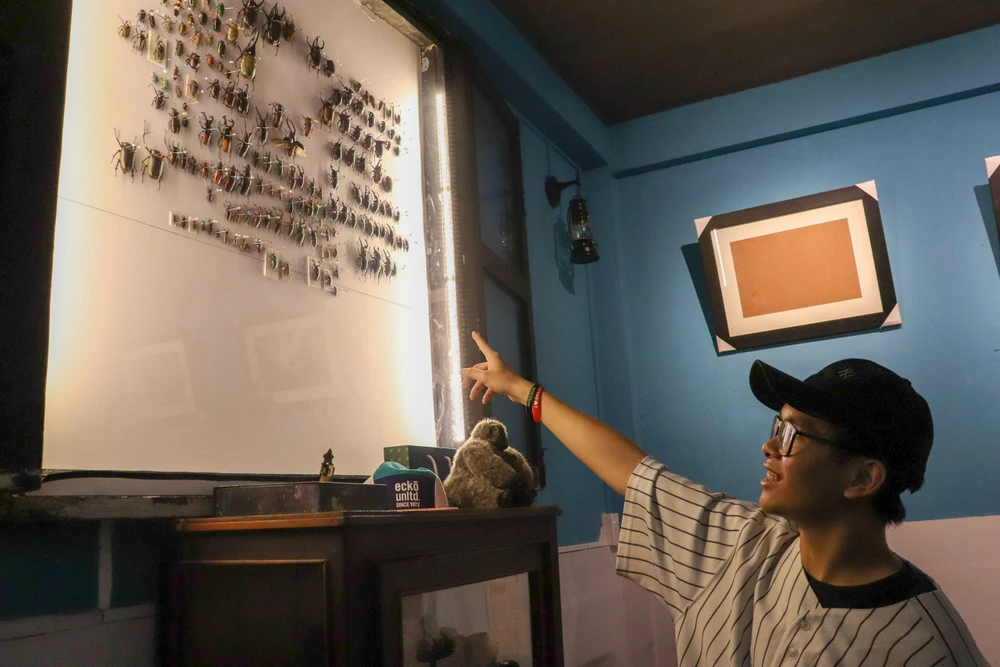 Sau 7 năm sưu tầm, Anh Kiệt sở hữu gần 200 mẫu tiêu bản bọ khác nhau, đa số là các loài bọ có tại Việt Nam như Neolucanus Baongocae, Lucanus Kraatzi Giangae… Sau 7 năm sưu tầm, Anh Kiệt sở hữu gần 200 mẫu tiêu bản bọ khác nhau, đa số là các loài bọ có tại Việt Nam như Neolucanus Baongocae, Lucanus Kraatzi Giangae…