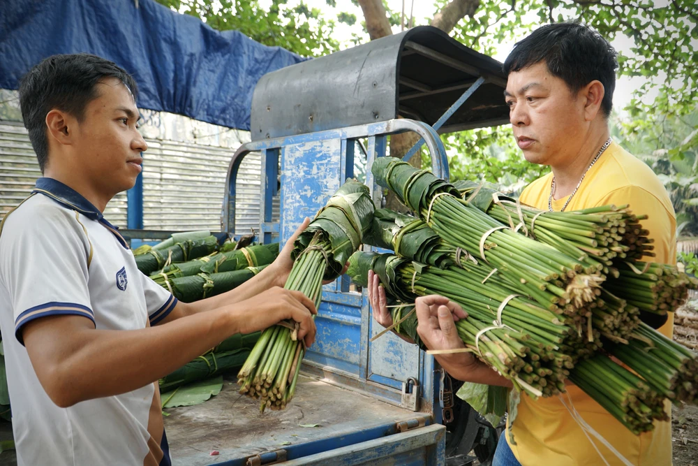 Mọi người phân chia nhau từng công việc, người đi chợ, người đãi nếp, người cắt lá dong, người gói bánh.