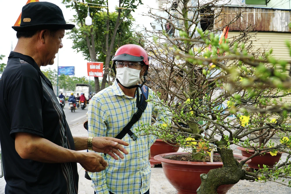 Cũng theo ông Phương, giá mai năm nay vẫn ổn định như năm trước, tuy nhiên đến thời điểm hiện tại, thị trường vẫn ế ẩm, sức mua giảm.