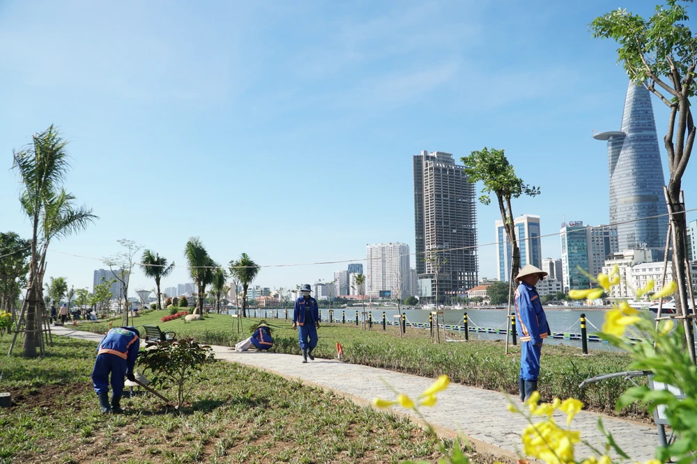 11-hoa-huong-duong-tai-cong-vien-bo-song-sai-gon-5277.jpg