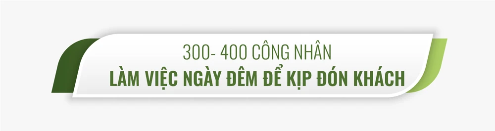 30 ngày biến lau lách, cỏ dại thành điểm đến lý tưởng mới ở TP.HCM