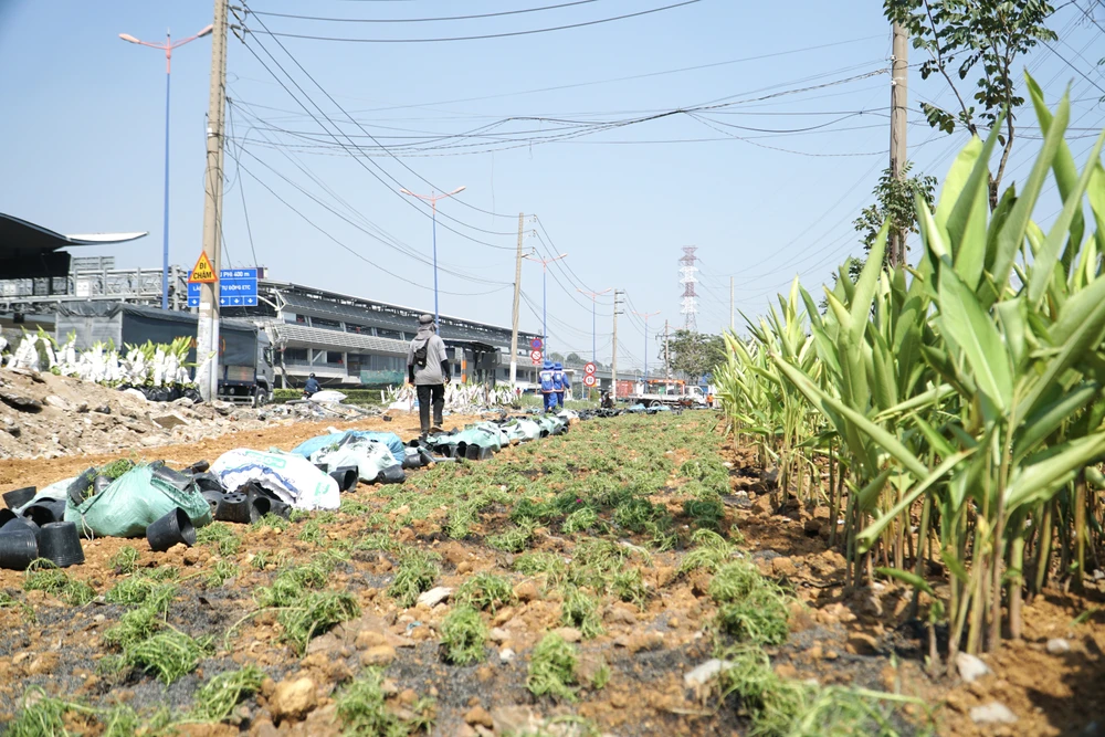 Nhà Ga Phước Long