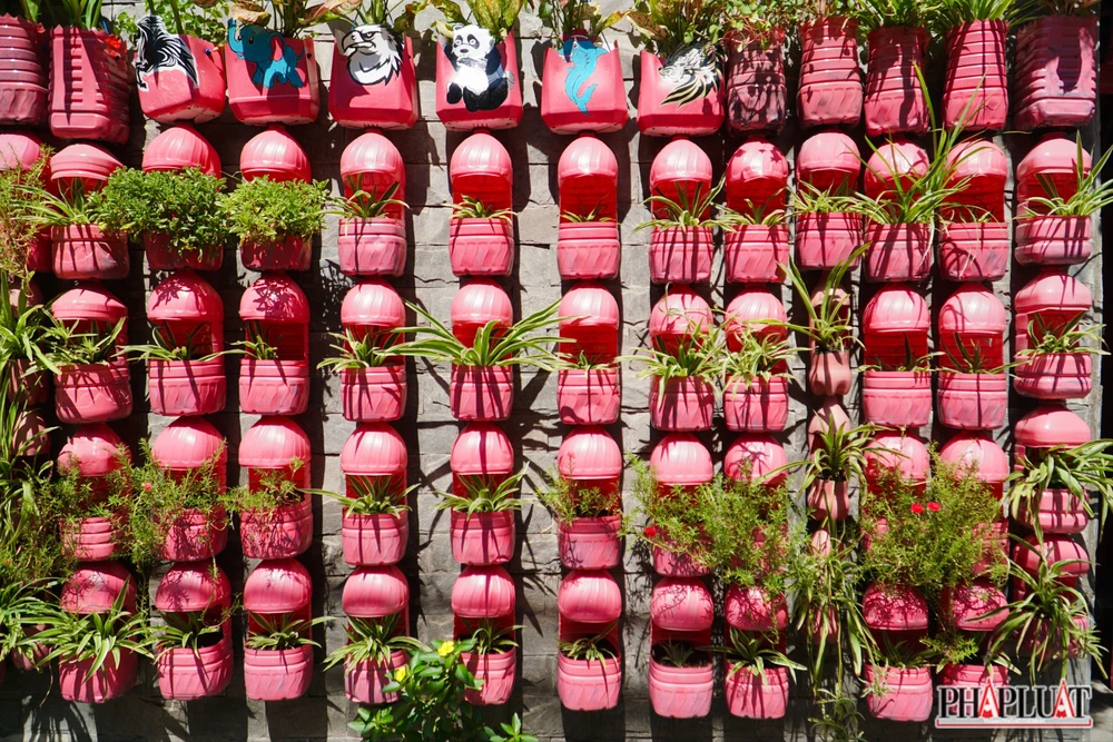 9 -can-nha-mau-hong.jpg