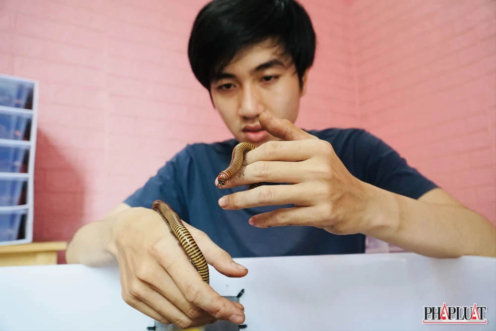 Ảnh 6 con-cuon-chieu .jpg