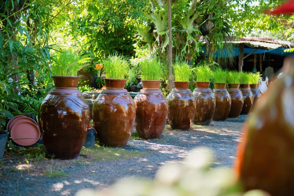 13 -chiec-cong-cuoi .jpg