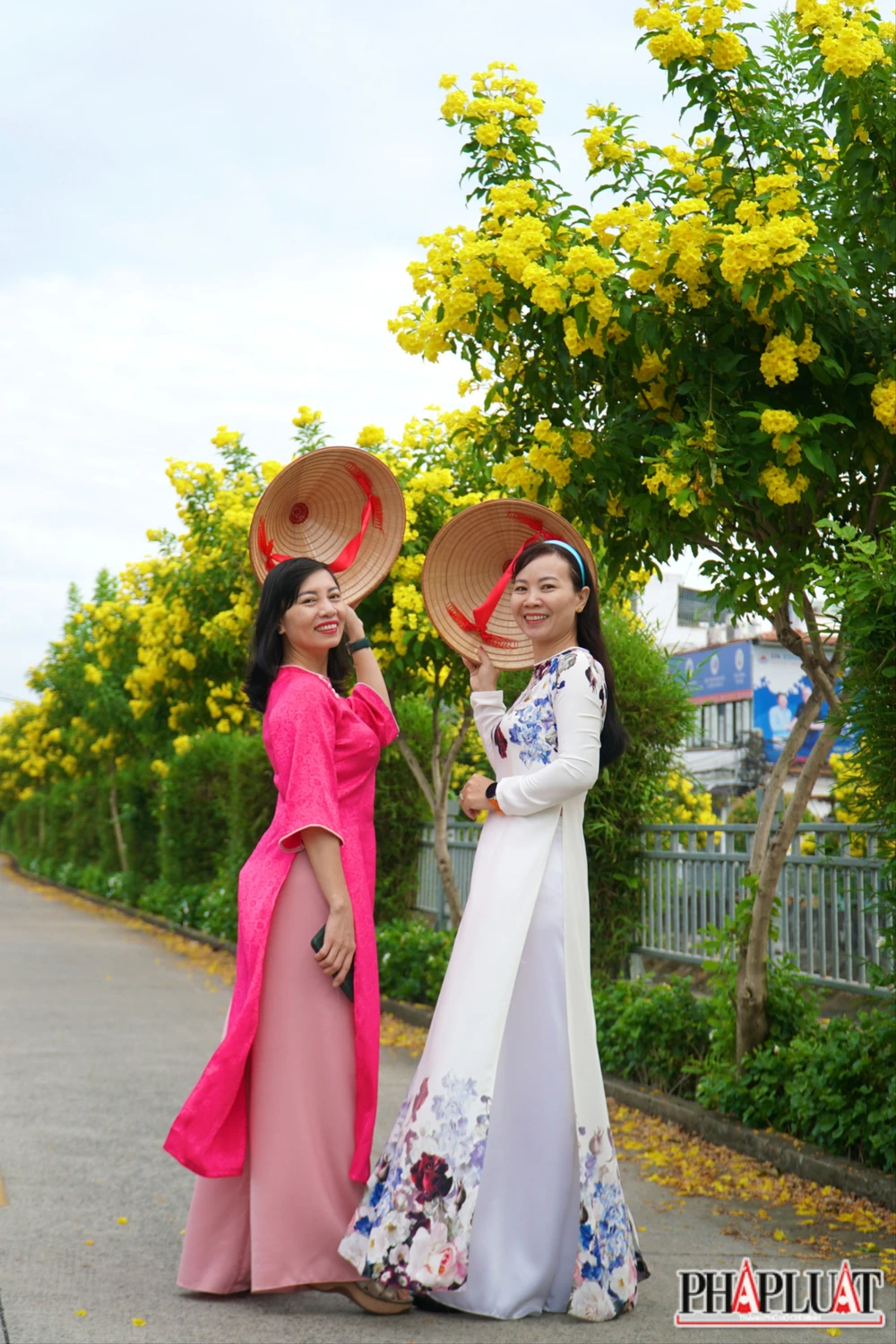 12 -hoa-huynh-lien .jpg