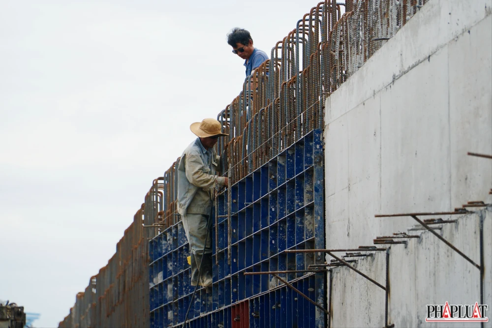 13 -cau-tang-long .jpg