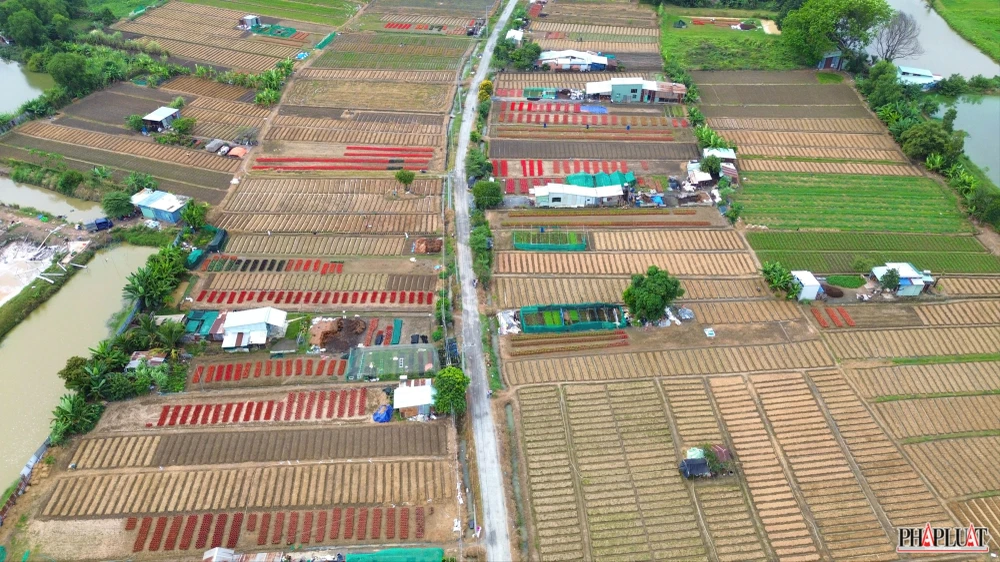 10 -lang-hoa-tan-ba.jpg