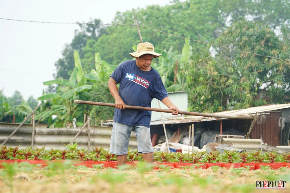 13. 1 -lang-hoa-tan-ba.jpg