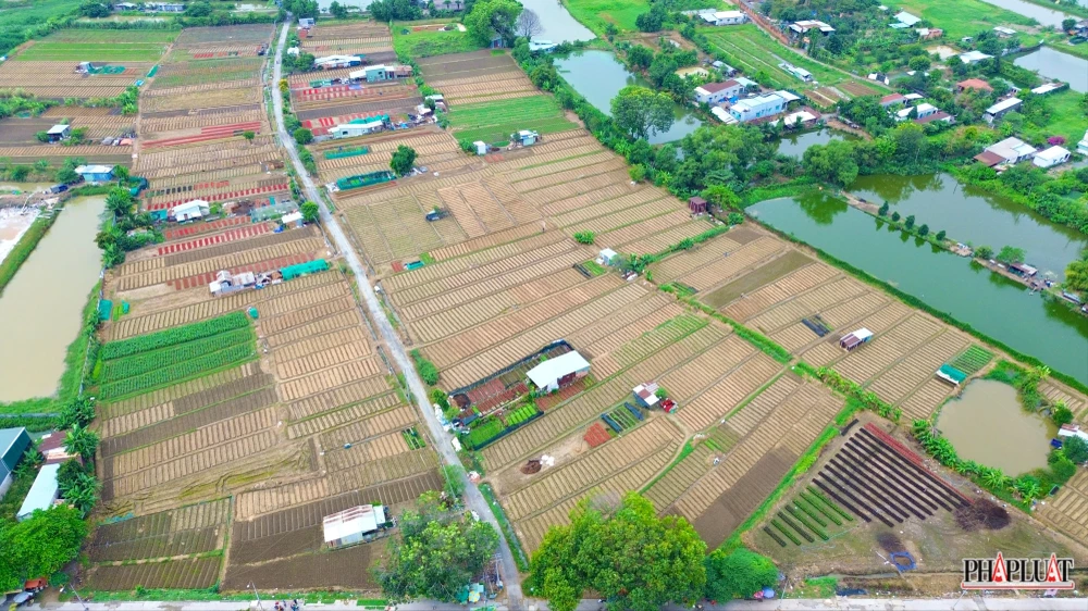 2 -lang-hoa-tan-ba .jpg