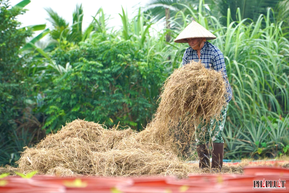 3 -lang-hoa-tan-ba.jpg