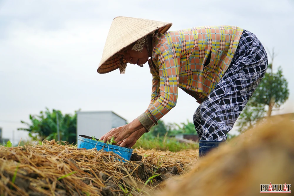 7 -lang-hoa-tan-ba .jpg