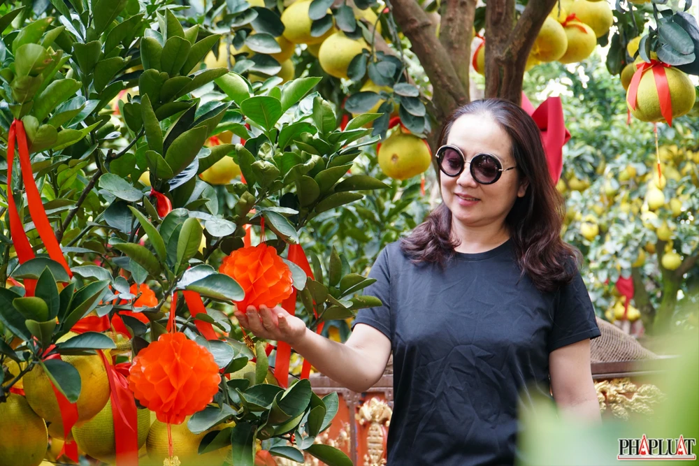 8 -cay-buoi-dien.jpg