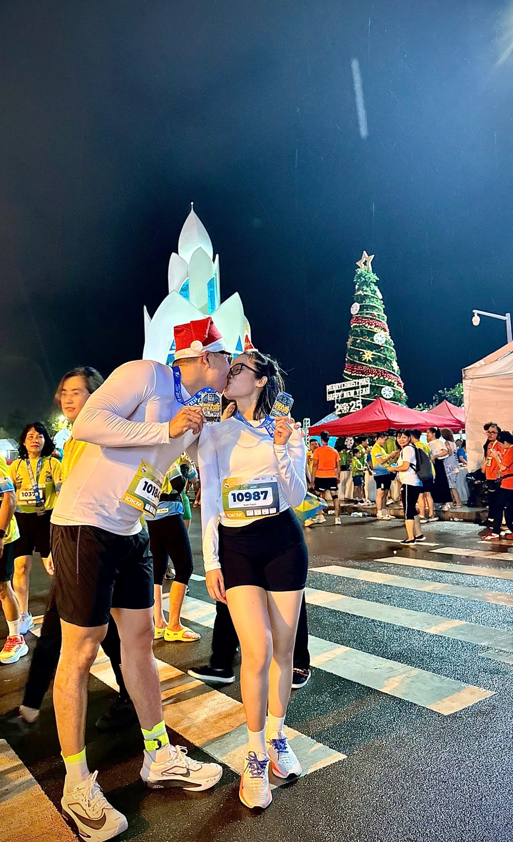 12 -cay-thong-noel.JPG