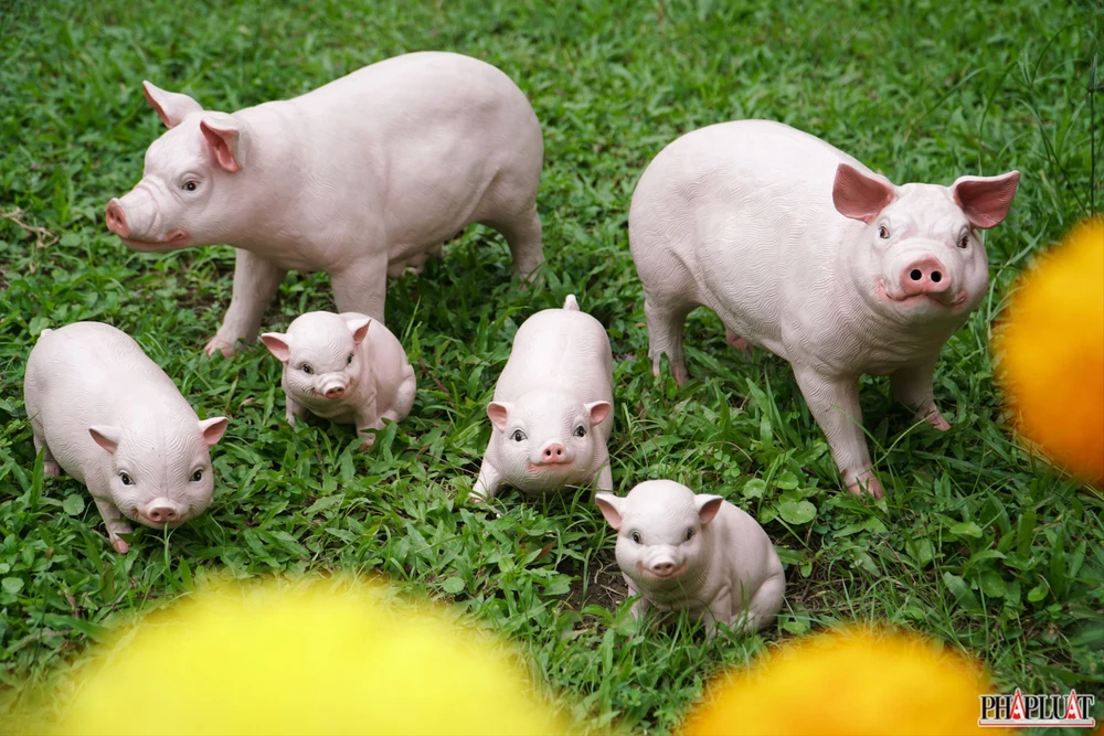 14 -bao-tang-ao-dai-.jpg
