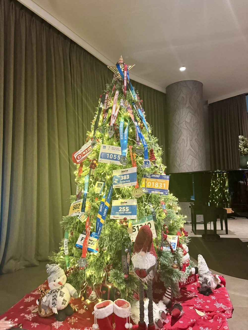 2 -cay-thong-noel.JPG