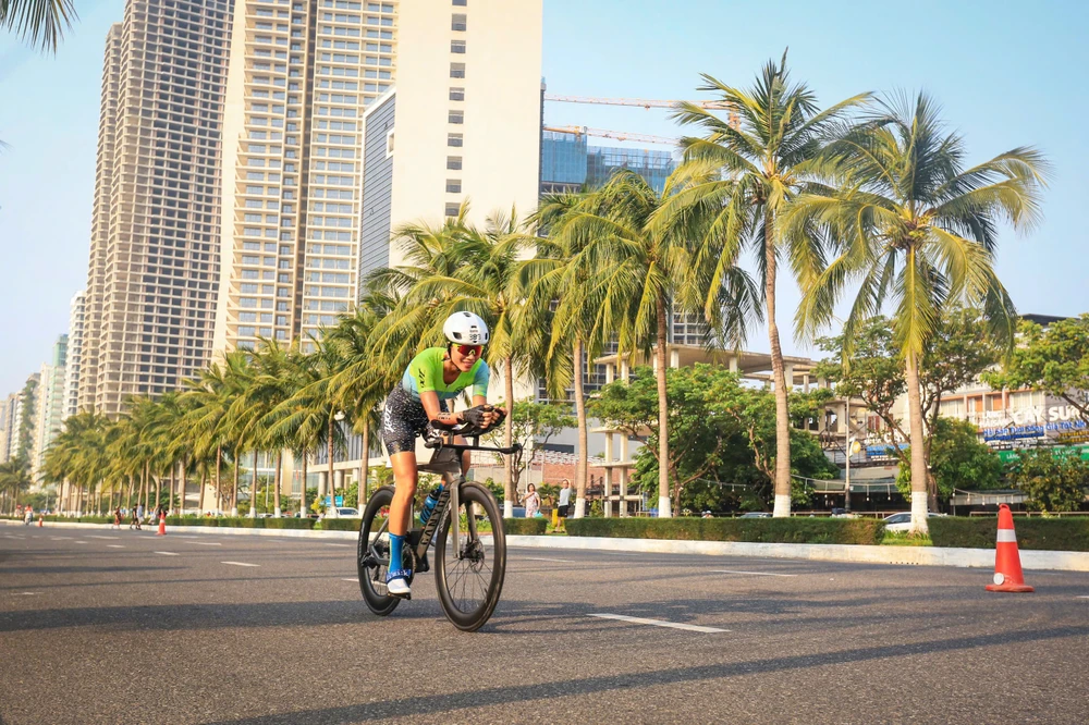 6.1 -cay-thong-noel.JPG