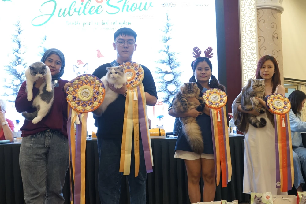 10 -WCF-Jubilee-Show.jpg