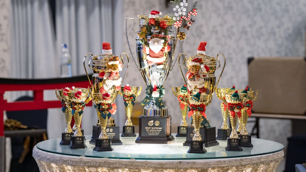 12 -WCF-Jubilee-Show-min.JPG