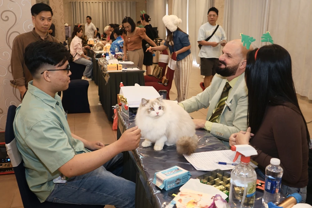 8 -WCF-Jubilee-Show.jpg