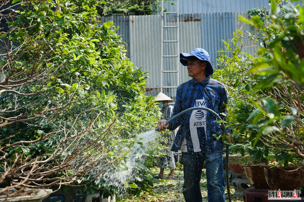 14 mai-vang-quan-12.jpg