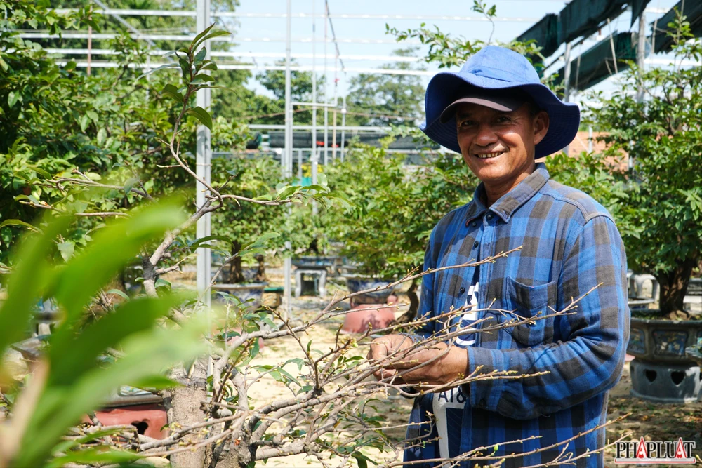 15 mai-vang-quan-12.jpg