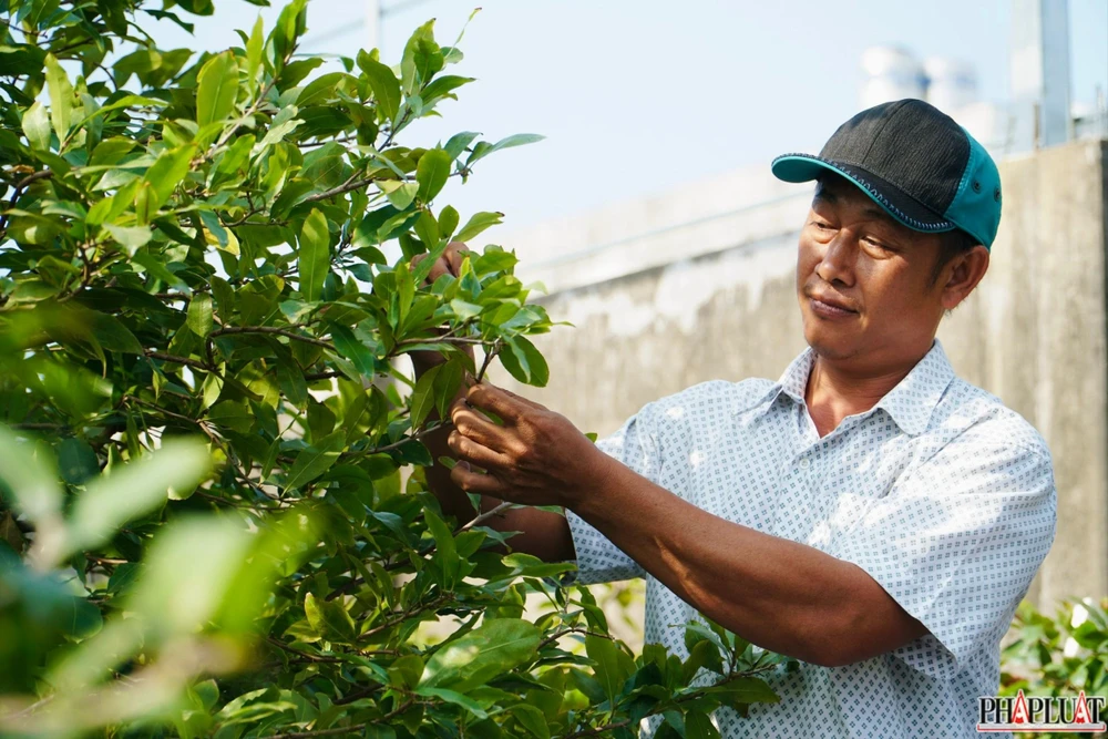 18 mai-vang-quan-12.jpg