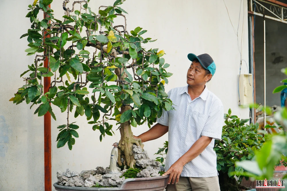 23 mai-vang-quan-12.jpg