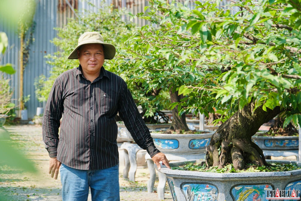 7 mai-vang-quan-12.jpg