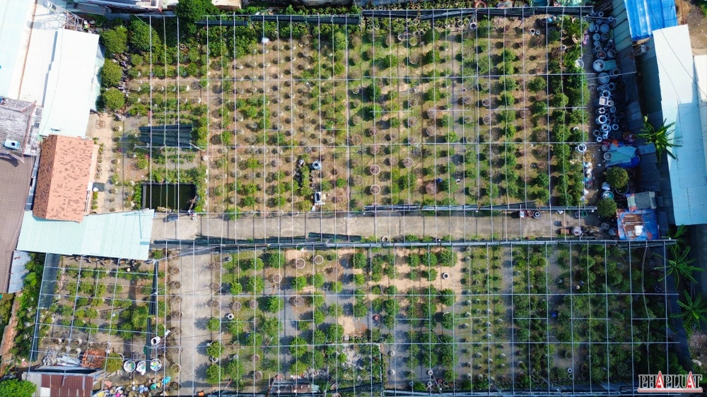 8 mai-vang-quan-12.jpg