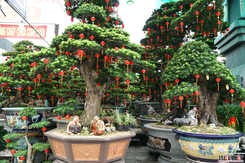 13.2 -cuc-mam-xoi.jpg