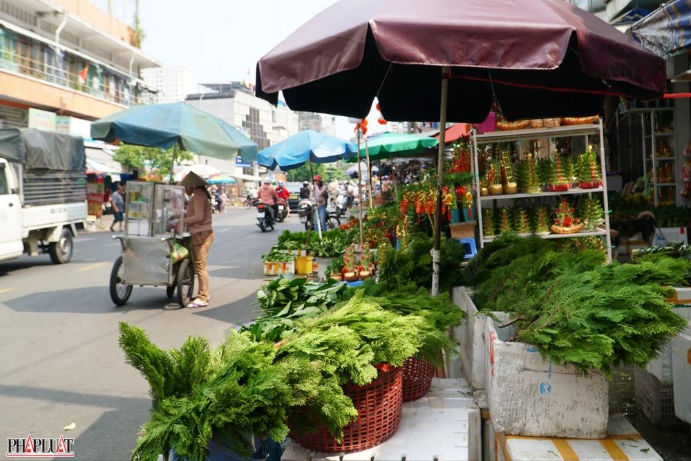 1.2 -trac-bach-diep.jpg