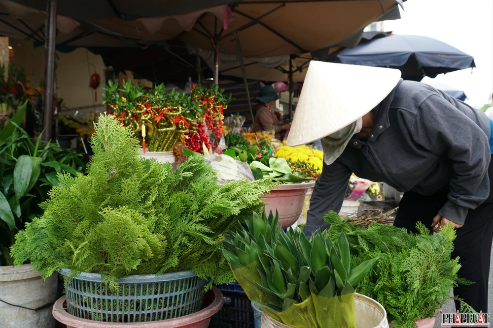 14 -trac-bach-diep.jpg