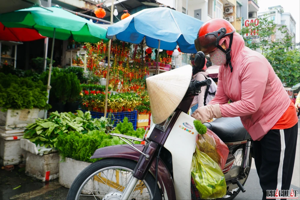 15 -trac-bach-diep.jpg