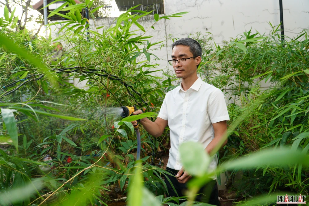 15 -chau-tre-bonsai.jpg