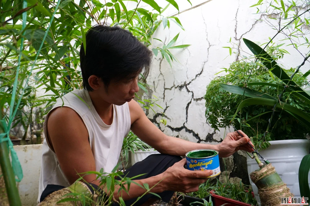 17.1 -chau-tre-bonsai.jpg