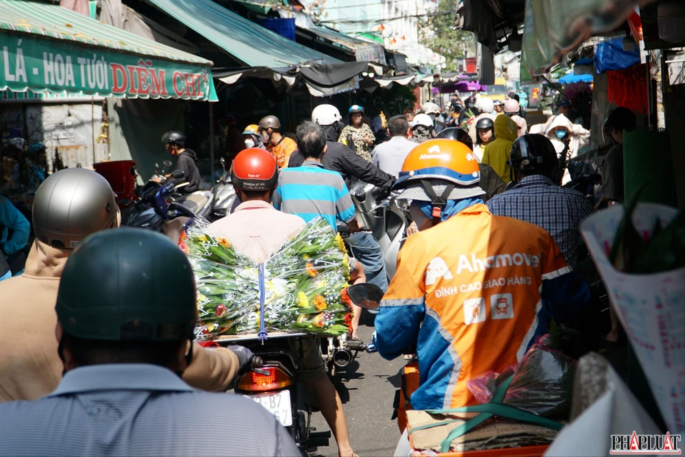 12 -hoa-dong-tien .jpg