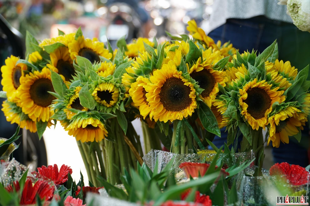 16.2 -hoa-dong-tien .jpg