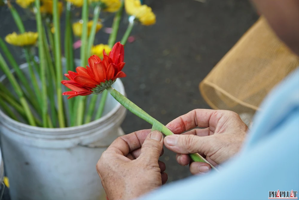 5.2 -hoa-dong-tien .jpg