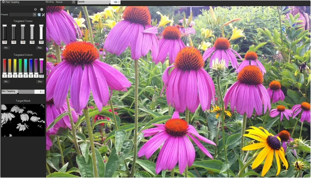 Những phần mềm nổi bật trong ngày ảnh 2