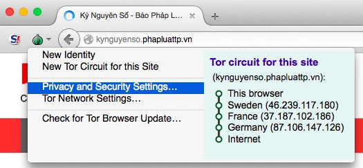 Lướt web an toàn hơn với Tor Browser 4.5 ảnh 3