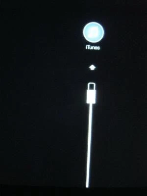 Những việc cần làm khi iPhone, iPad không khởi động ảnh 3