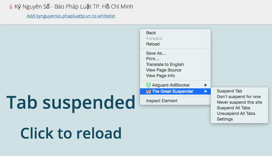 Ngăn chặn việc Chrome “ngốn” RAM ảnh 4