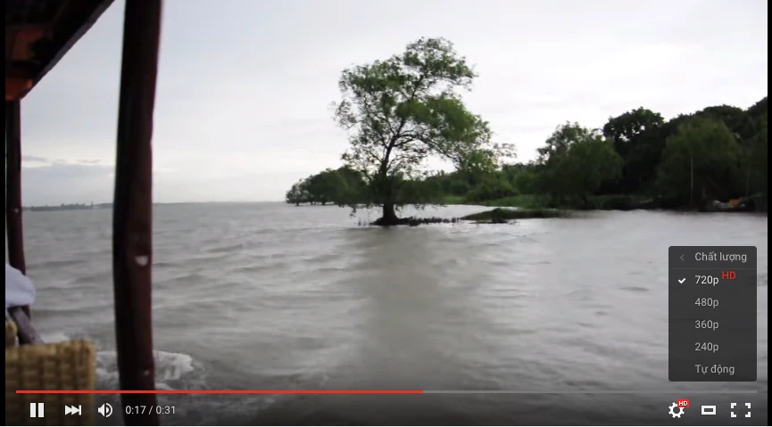 Kích hoạt giao diện trong suốt cho YouTube ảnh 2