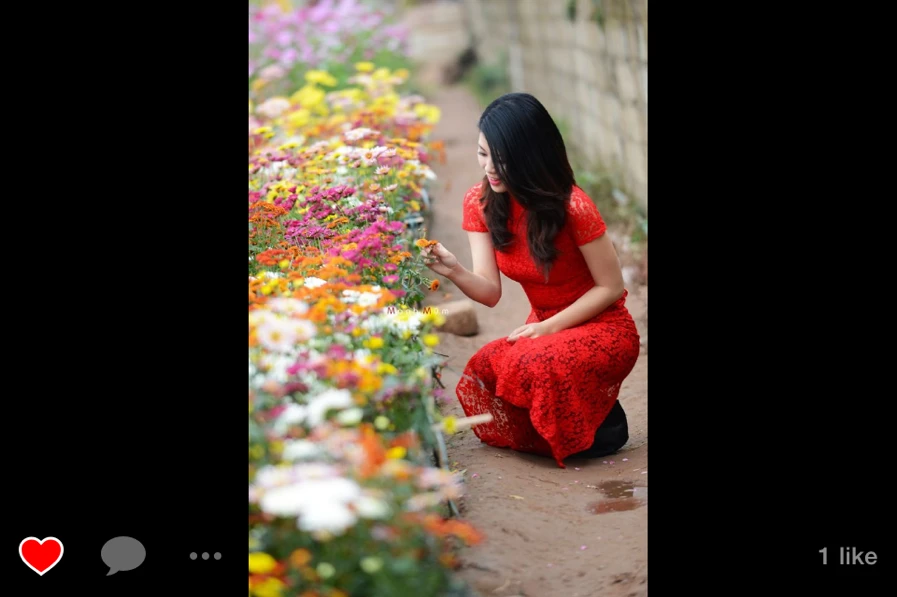 Chia sẻ video và hình ảnh theo nhóm ảnh 5