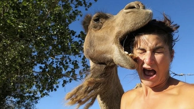 Chụp ảnh “tự sướng” không đúng lúc có thể mất mạng ảnh 3